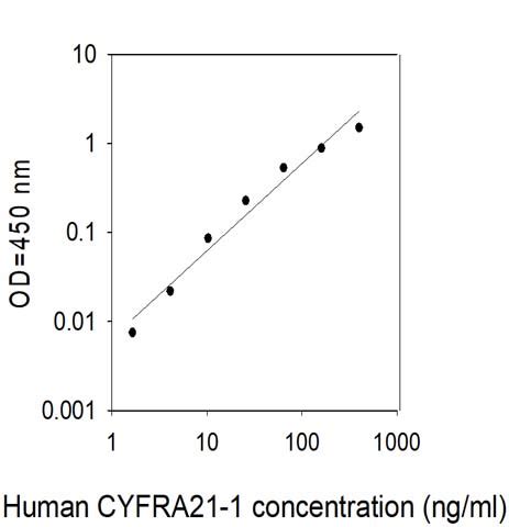 Human CYFRA 21